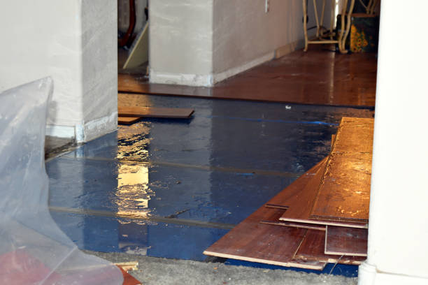 Professional Water Damage technician working in Luck, WI